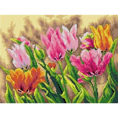 CANEVAS ANTIQUE 30 X 40 CM - CHAMP DE TULIPES