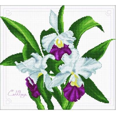 NO COUNT CROSS STITCH - UN BOUQUET D'ORCHIDEES