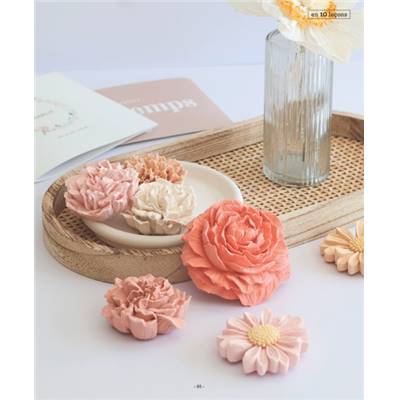 APPRENDRE LES BASES DE LA JESMONITE EN 10 LECONS