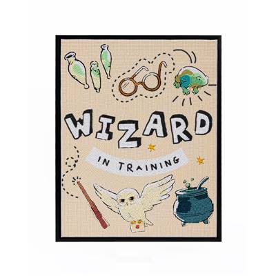 KIT BRODERIE DIAMANT HARRY POTTER - WIZARD IN TRAINING