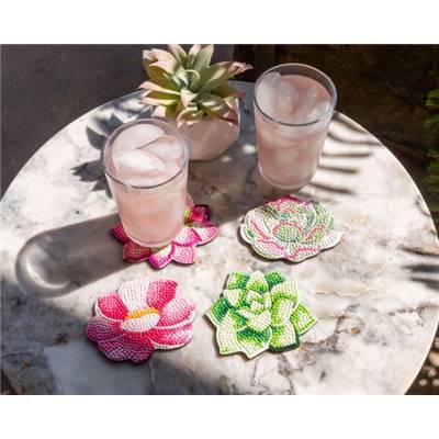 KIT BRODERIE DIAMANT 4 SOUS-VERRES - SUCCULENTS