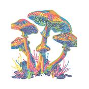 KIT BRODERIE DIAMANT NEON NOIR - MUSHROOMS 