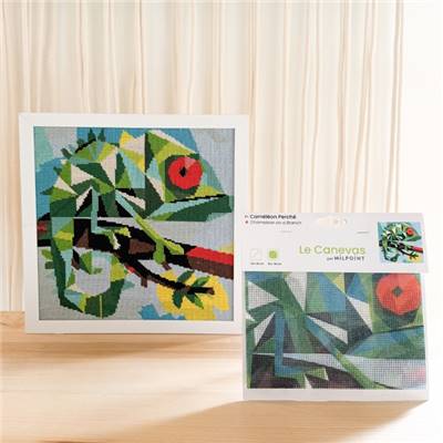 CANEVAS IMPRIME BLANC - DESSIN 30 X 30 CM - CAMELEON PERCHE