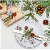 COURONNES & DECO DE NOEL NATURE - 30 PROJETS
