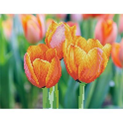 KIT BRODERIE DIAMANT - LOVE TULIPS