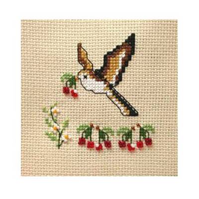 MINI KIT OISEAU