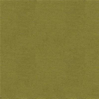 TISSU DASHWOOD STUDIO - POP - OLIVE - COTON UNI - 110 CM