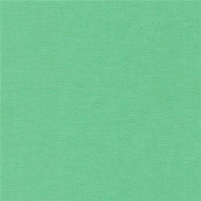 TISSU DASHWOOD STUDIO - POP - PARROT - COTON UNI - 110 CM