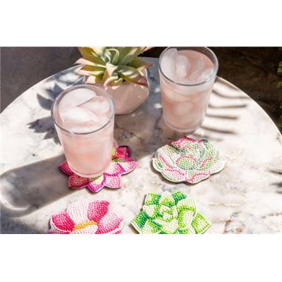 KIT BRODERIE DIAMANT 4 SOUS-VERRES - SUCCULENTS