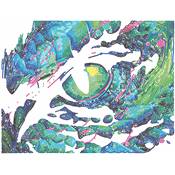 KIT BRODERIE DIAMANT NEON NOIR - DRAGON EYE