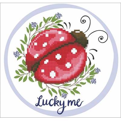KIT BRODERIE DIAMANT - COCCINELLE LUCKY ME