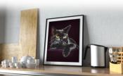 KIT BRODERIE DIAMANT - CHAT NOIR