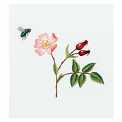 INSECTES & PLANTES EN PEINTURE A L'AIGUILLE - GUIDE DE BRODERIE