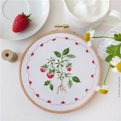 STRAWBERRY CAKE - KIT BRODERIE 21X21CM - TAMBOUR NON INCLUS