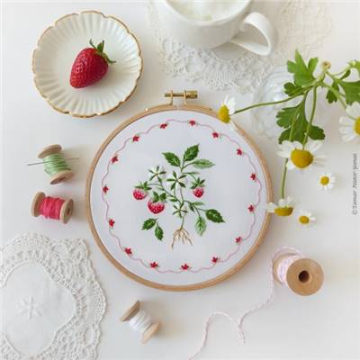STRAWBERRY CAKE - KIT BRODERIE 21X21CM - TAMBOUR NON INCLUS