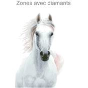 KIT BRODERIE DIAMANT - L'ETALON BLANC IMPERIAL