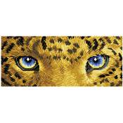 KIT BRODERIE DIAMANT -LE JAGUAR AUX AGUETS