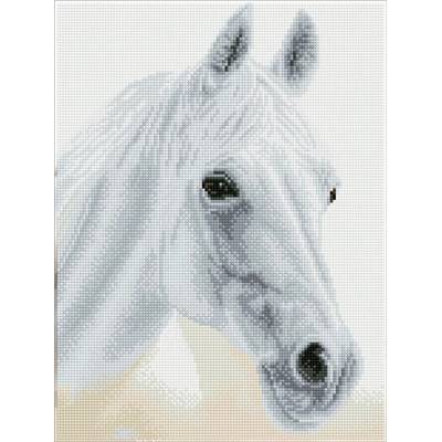 KIT BRODERIE DIAMANT SQUARES - LA BELLE ET LE PUR-SANG