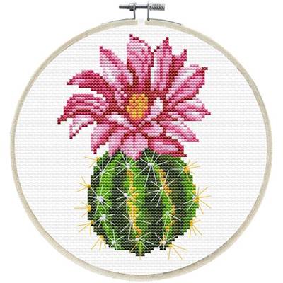 NO COUNT CROSS STITCH - CACTUS ROSE