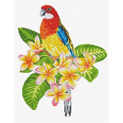 NO COUNT CROSS STITCH - PERROQUET ROSELLA