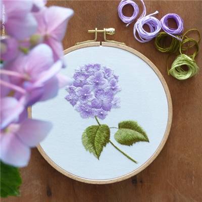 PURPLE HORTENSIA - KIT BRODERIE 21X21CM - TAMBOUR NON INCLUS