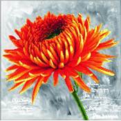 NO COUNT CROSS STITCH - LE DAHLIA ORANGE