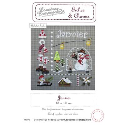 JANVIER - SEMI-KIT FICHES & CHARMS