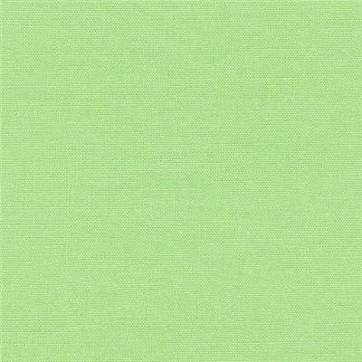 TISSU DASHWOOD STUDIO - POP - LIMEADE - COTON UNI - 110 CM