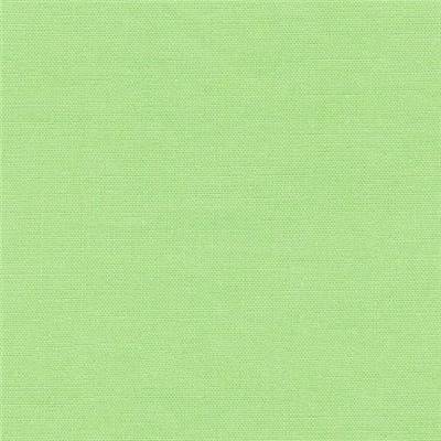 TISSU DASHWOOD STUDIO - POP - LIMEADE - COTON UNI - 110 CM