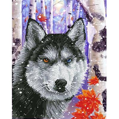 KIT BRODERIE DIAMANT - LOUP DE LA FORET