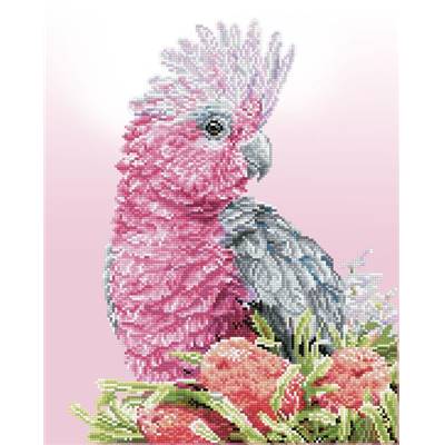 KIT BRODERIE DIAMANT - GALAH ROSE