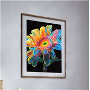 KIT BRODERIE DIAMANT NEON NOIR - GERBERA