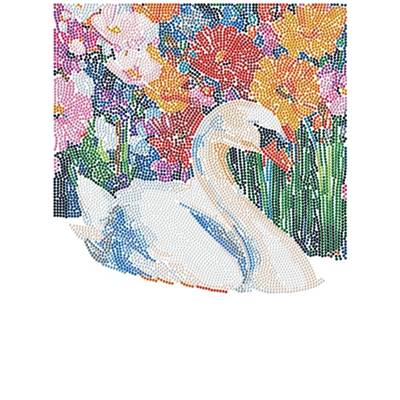 KIT BRODERIE DIAMANT DOTZ - FLORAL SWAN LAKE AVEC CADRE