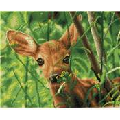 KIT BRODERIE DIAMANT SQUARES - FOREST BABE - PRE-ENCADRE