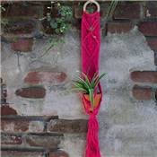 KIT SUSPENSION PORTE-PLANTE MACRAMÉ BALI - HOOOKED - CORAL