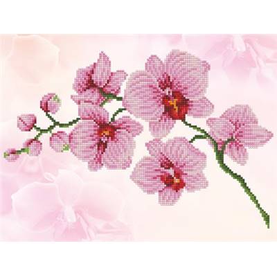 KIT BRODERIE DIAMANT - UNE BRANCHE D'ORCHIDEE