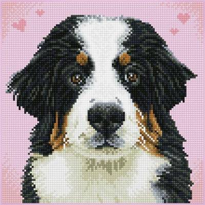 KIT BRODERIE DIAMANT SQUARES - SAY HELLO TO ZUZU