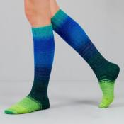ECHEVEAU ECHOES FINGERING- 2 x 50G -80% MERINOS 20% NYLON-GUSTO WOOL-