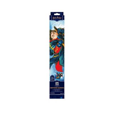 KIT BRODERIE DIAMANT HARRY POTTER - HARRY POTTER AT QUIDDITCH