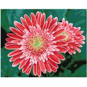 KIT BRODERIE DIAMANT SQUARES - PINK GERBERAS