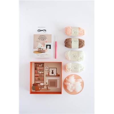 COFFRET CROCHETEZ ADOPTEZ EXPOSEZ ! POPPY LE BRITISH SHORTHAIR