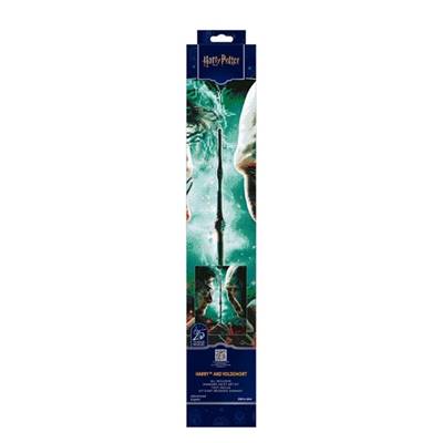 KIT BRODERIE DIAMANT HARRY POTTER - HARRY AND VOLDEMORT