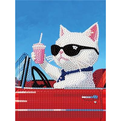 KIT BRODERIE DIAMANT DOTZ - CONVERTIBLE CAT AVEC CADRE