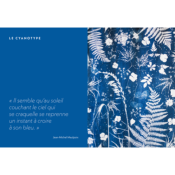 IMPRESSIONS VEGETALES - CYANOTYPE ECOPRINT TATAKI ZOME