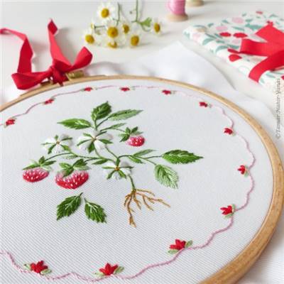 STRAWBERRY CAKE - KIT BRODERIE 21X21CM - TAMBOUR NON INCLUS