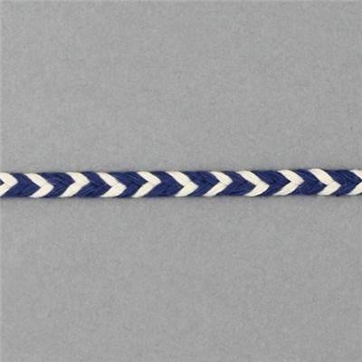 TRESSE PLATE CHEVRONS COTON AIRELLE - ECRU - LA BOBINE DE 10 M