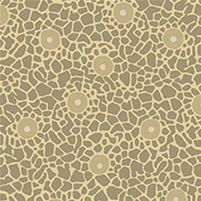 Tissu STOF 100% coton Quilters Basic Harmony 112cm