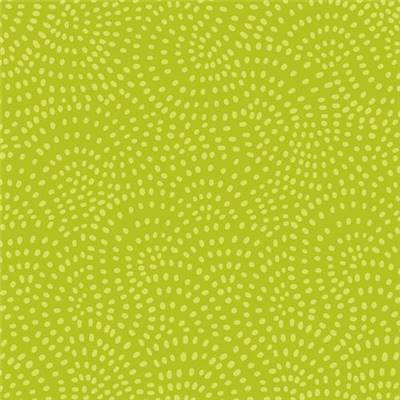 TISSU DASHWOOD STUDIO - TWIST 1155 LIME - COTON - 110 CM
