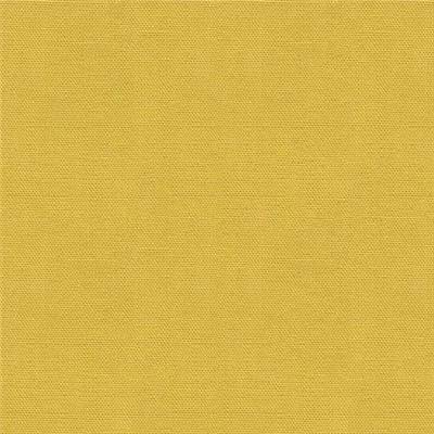 TISSU DASHWOOD STUDIO - POP - PICKLE - COTON UNI - 110 CM