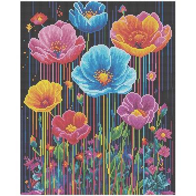 KIT BRODERIE DIAMANT DOTZ - COLOURFUL POPPIES AVEC CADRE